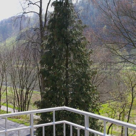Haus Elbsinfonie Villa Bad Schandau Buitenkant foto