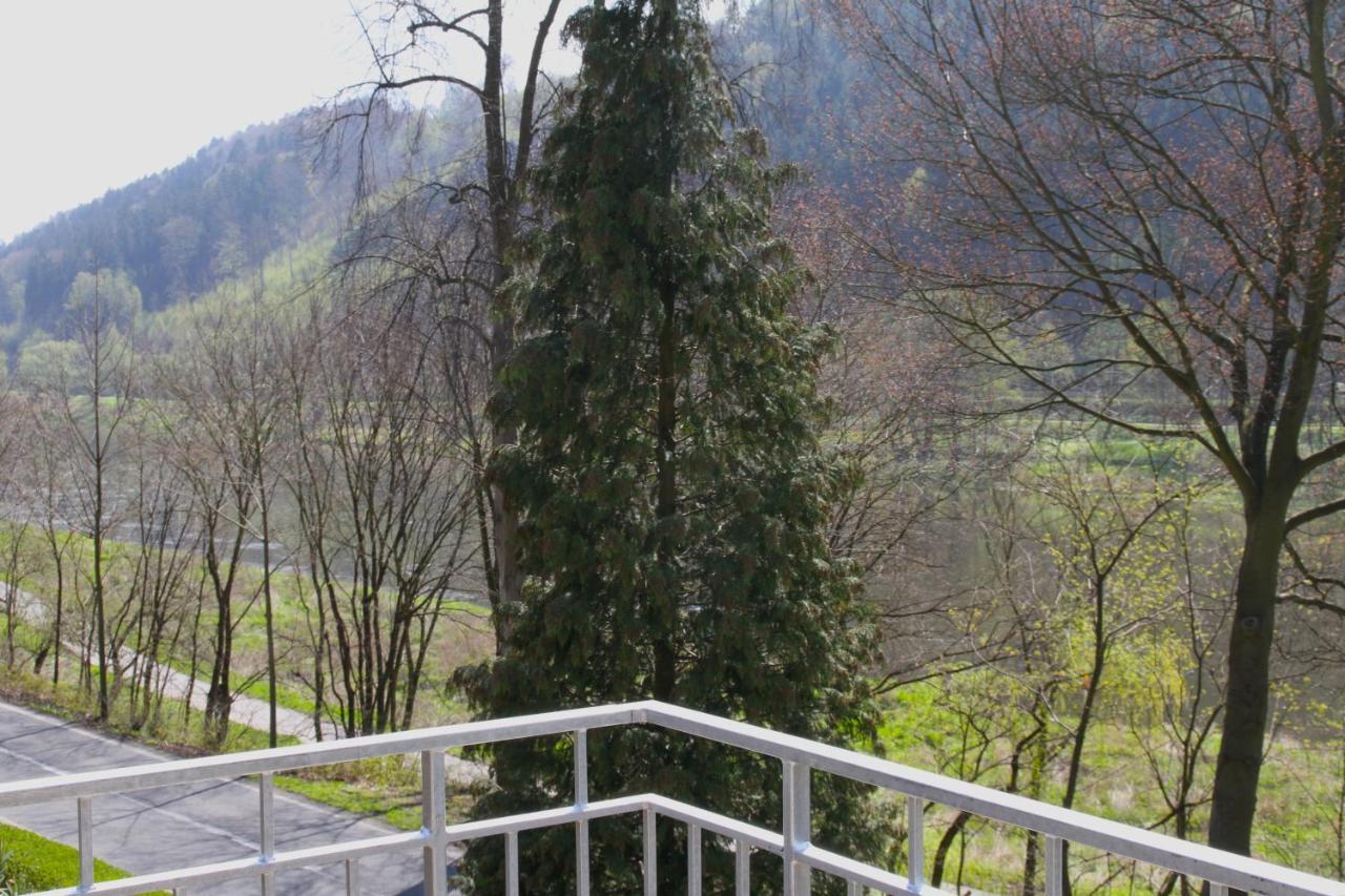 Haus Elbsinfonie Villa Bad Schandau Buitenkant foto